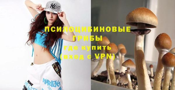 кокс Кулебаки