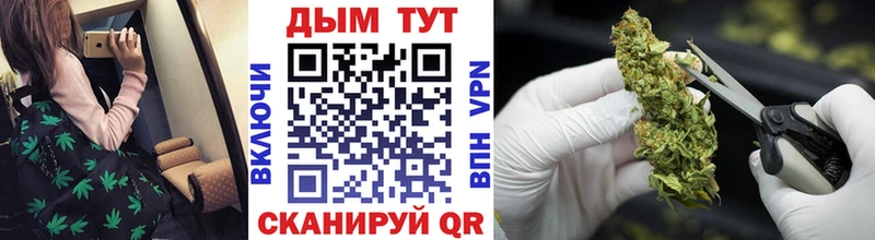 Конопля White Widow Купить закладки Ува
